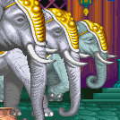 インド象